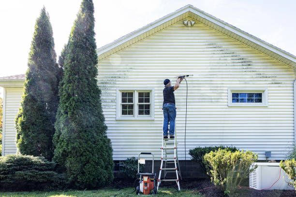 Best Gutter Cleaning  in Limestone Creek, FL